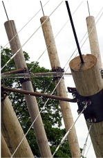 Round pole timber